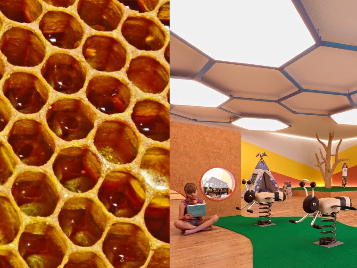 Como a proporção áurea guia a engenharia dos produtos Valemam