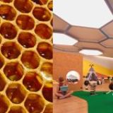 Como a proporção áurea guia a engenharia dos produtos Valemam